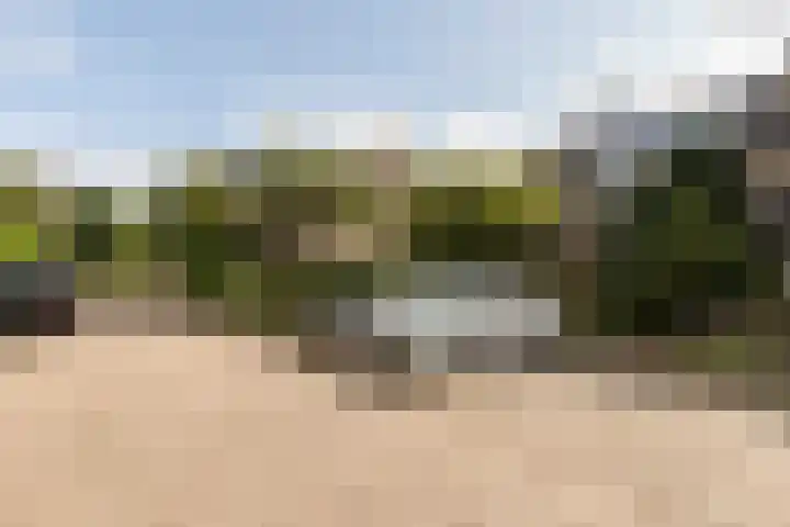 Rode Klaver 75 Sneek thumbnail 42