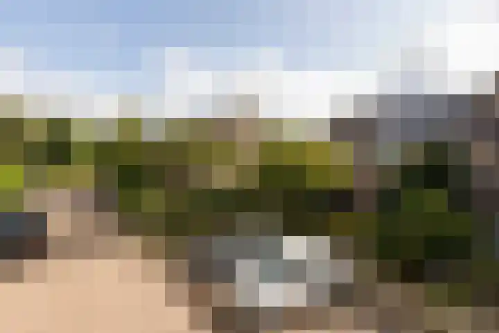 Rode Klaver 75 Sneek thumbnail 43