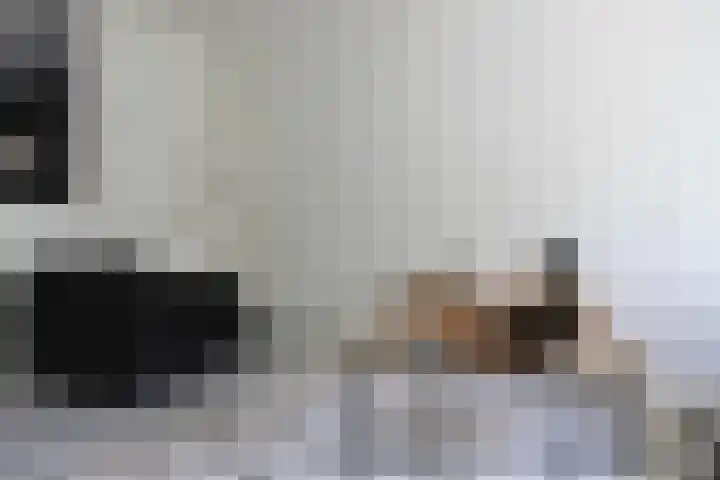 Rode Klaver 75 Sneek thumbnail 5