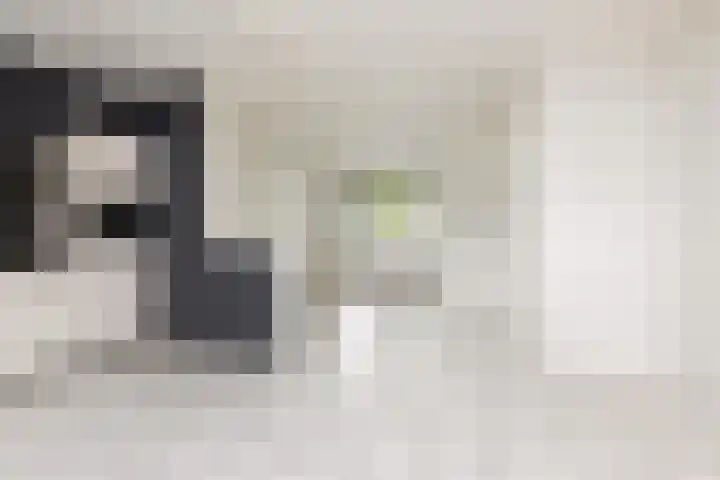 Rode Klaver 75 Sneek thumbnail 6