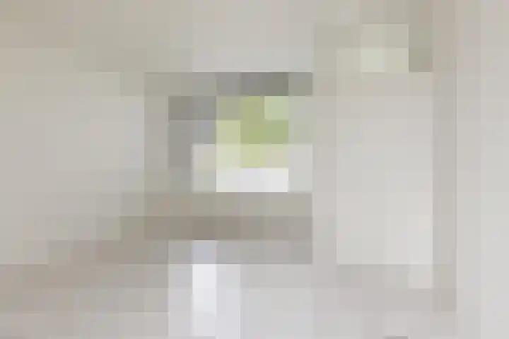 Rode Klaver 75 Sneek thumbnail 7