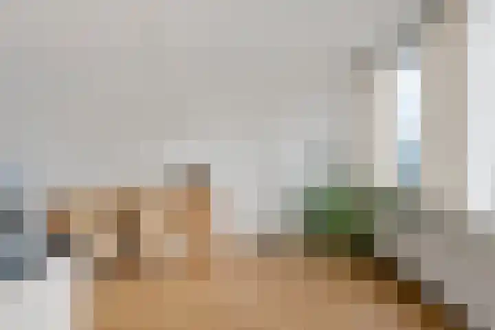 Rode Klaver 81 Uithoorn thumbnail 12