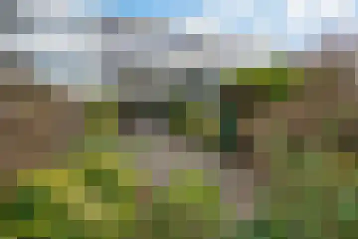 Rode Klaver 81 Uithoorn thumbnail 33