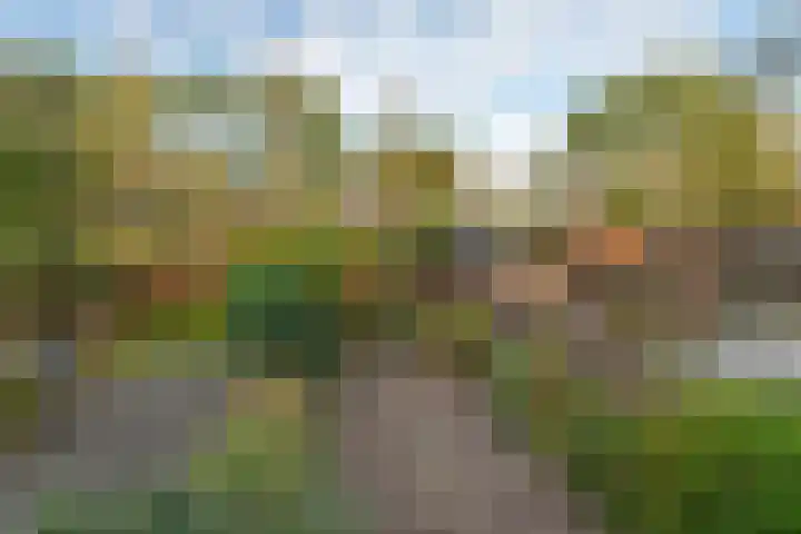Rode Klaver 81 Uithoorn thumbnail 34