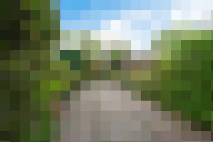 Rode Klaver 81 Uithoorn thumbnail 35