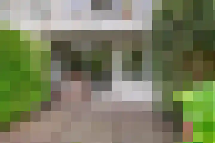 Rode Klaver 81 Uithoorn thumbnail 36