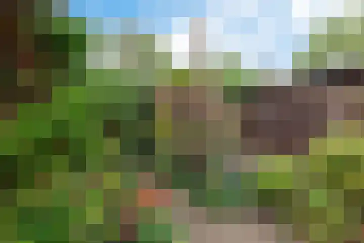 Rode Klaver 81 Uithoorn thumbnail 37