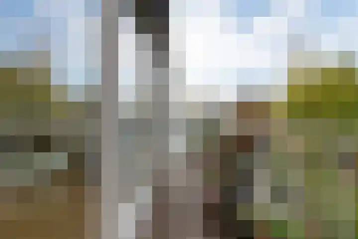 Rode Klaver 81 Uithoorn thumbnail 39