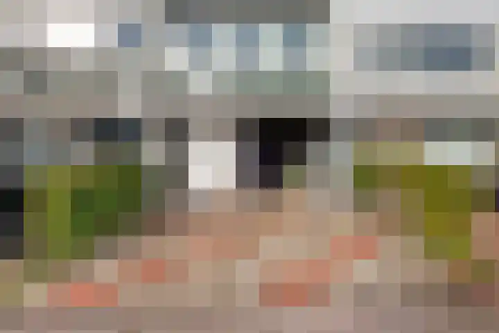 Rode Klaver 81 Uithoorn thumbnail 40