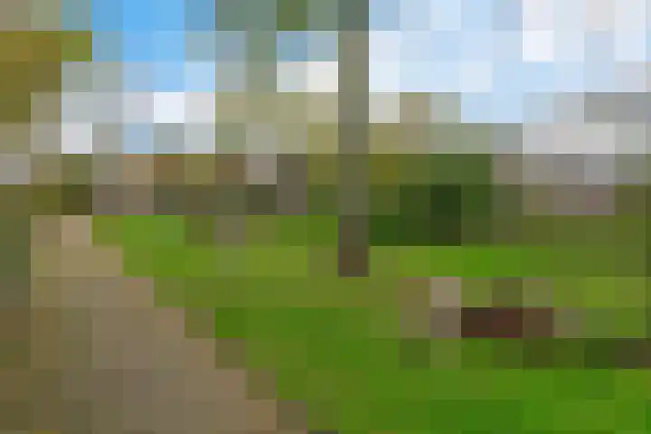 Rode Klaver 81 Uithoorn thumbnail 48