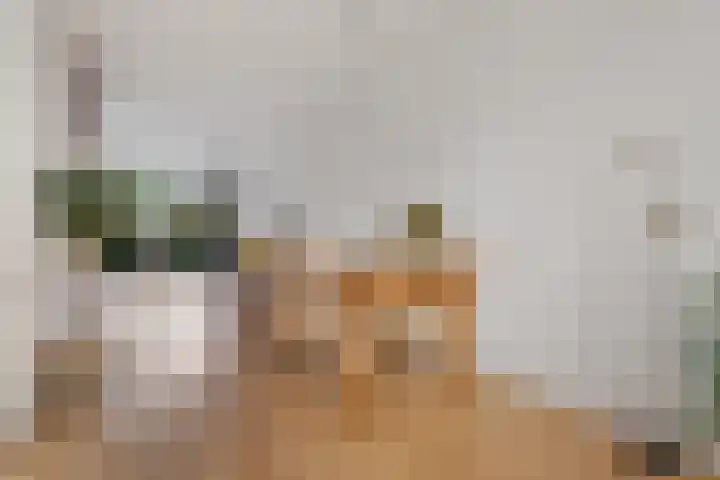 Rode Klaver 81 Uithoorn thumbnail 8
