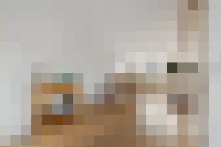 Rode Klaver 81 Uithoorn thumbnail 9