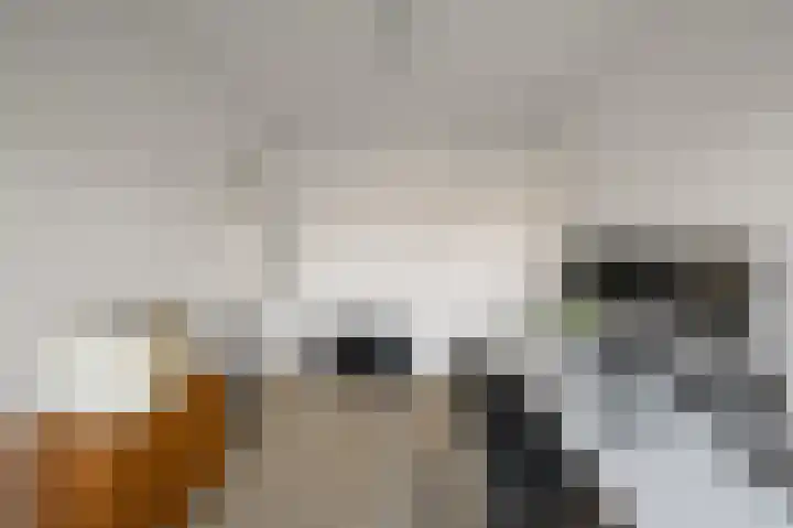 Rode Klaver 97 Uithoorn thumbnail 23
