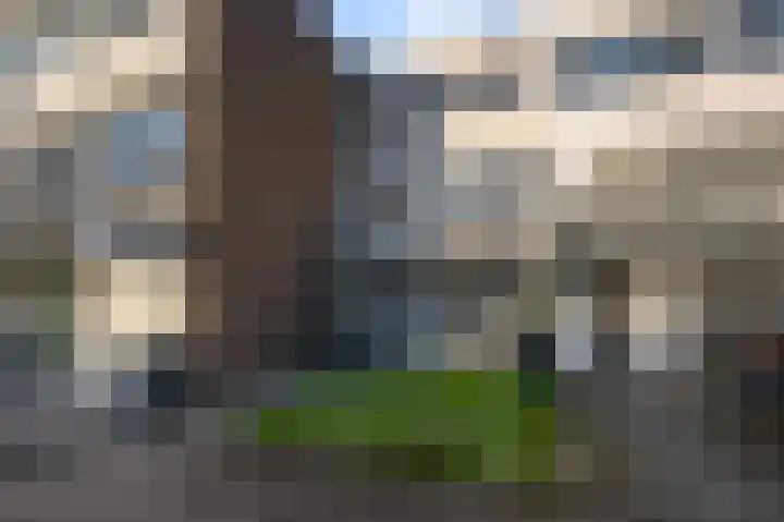 Rode Klaver 97 Uithoorn thumbnail 31