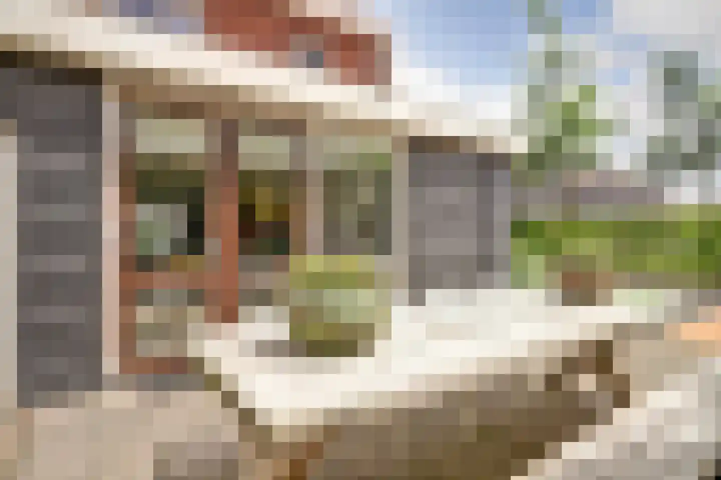 Rode Klaverweide 41 Heerhugowaard thumbnail 45