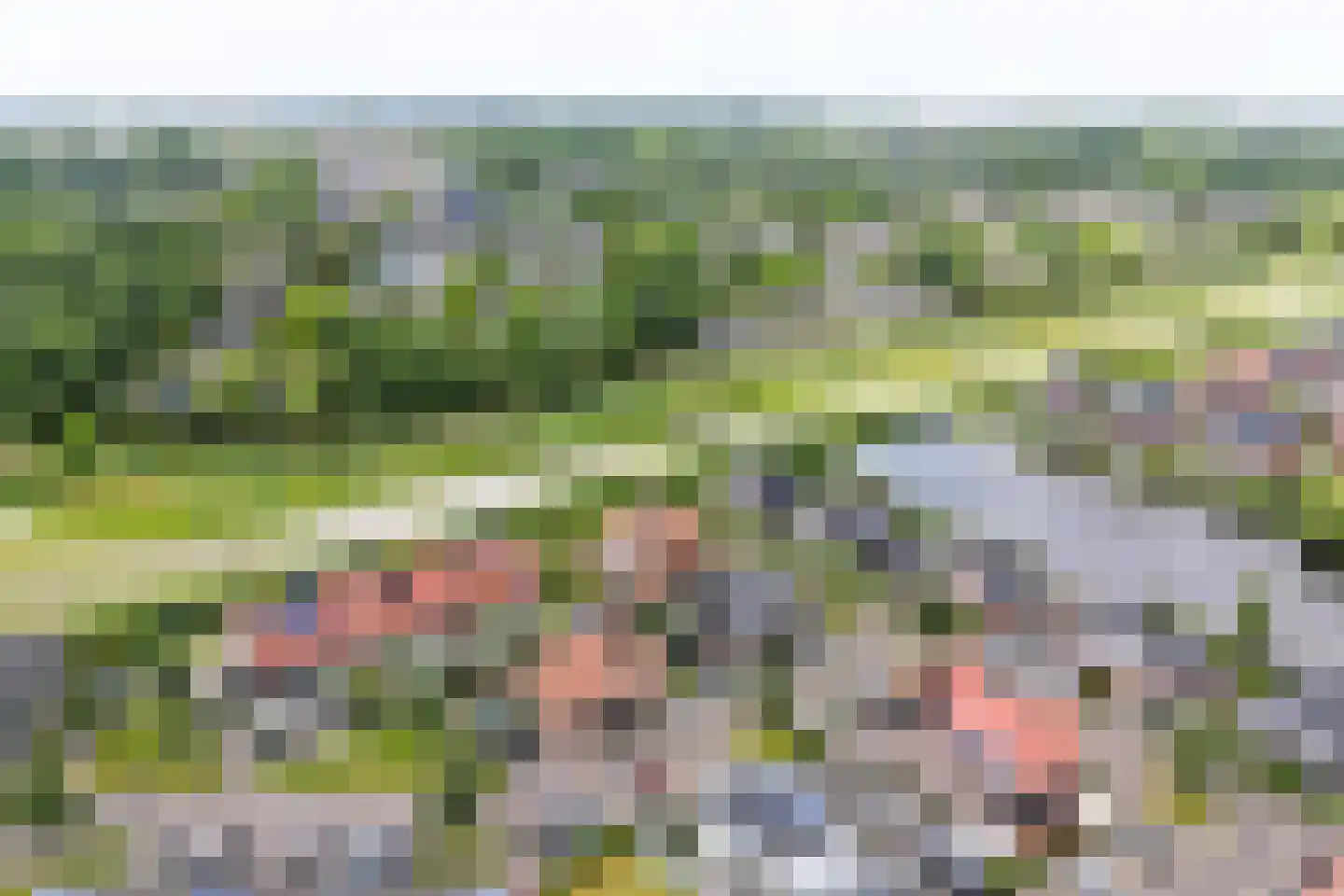 Rode Klaverweide 41 Heerhugowaard thumbnail 56