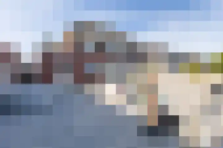 Rode Klaverweide 55 Heerhugowaard thumbnail 33