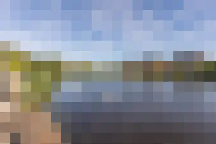 Rode Klaverweide 55 Heerhugowaard thumbnail 34