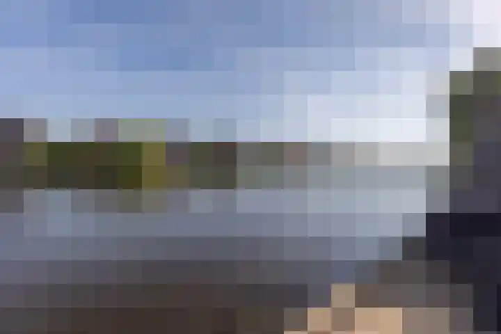Rode Klaverweide 55 Heerhugowaard thumbnail 35