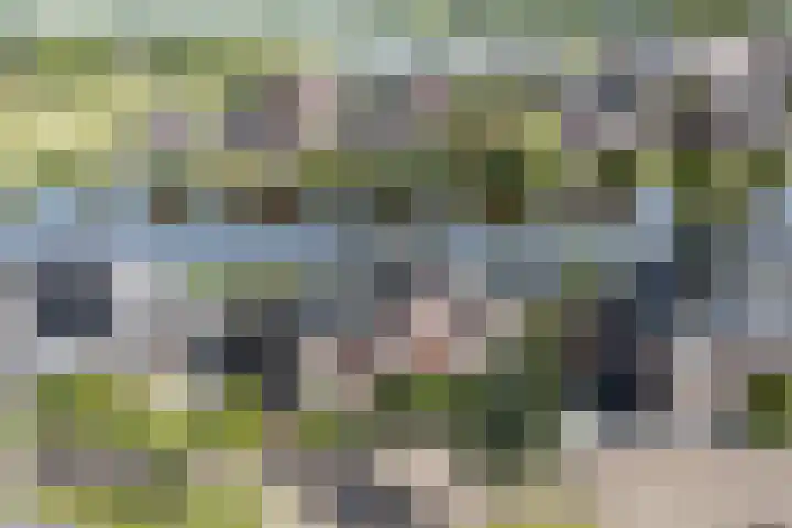 Rode Klaverweide 55 Heerhugowaard thumbnail 39