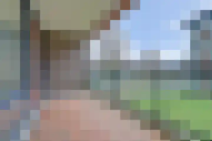 Rode Kruislaan 104 Nijmegen thumbnail 38