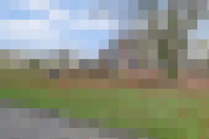 Rode Kruislaan 104 Nijmegen thumbnail 41