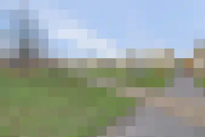 Rode Kruislaan 104 Nijmegen thumbnail 42