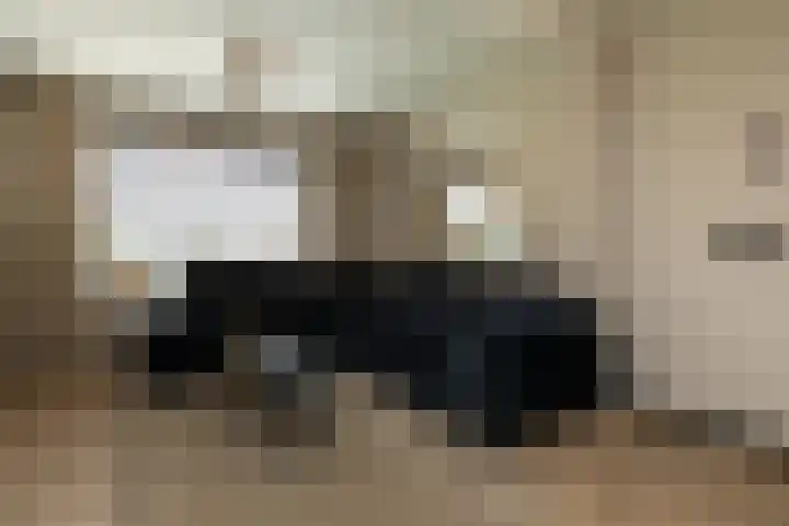 Rode-Kruislaan 11 Nunspeet thumbnail 14