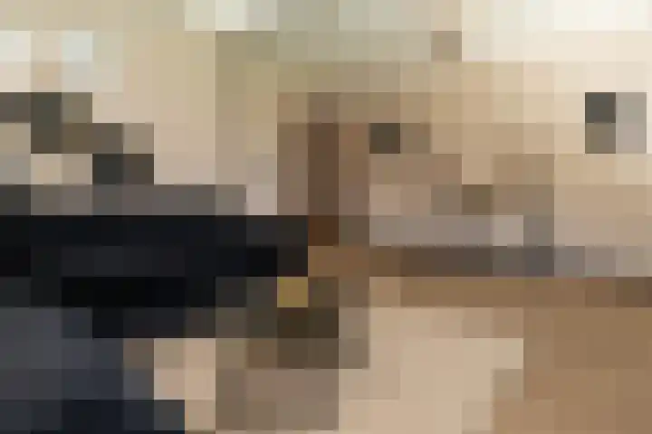 Rode-Kruislaan 11 Nunspeet thumbnail 15