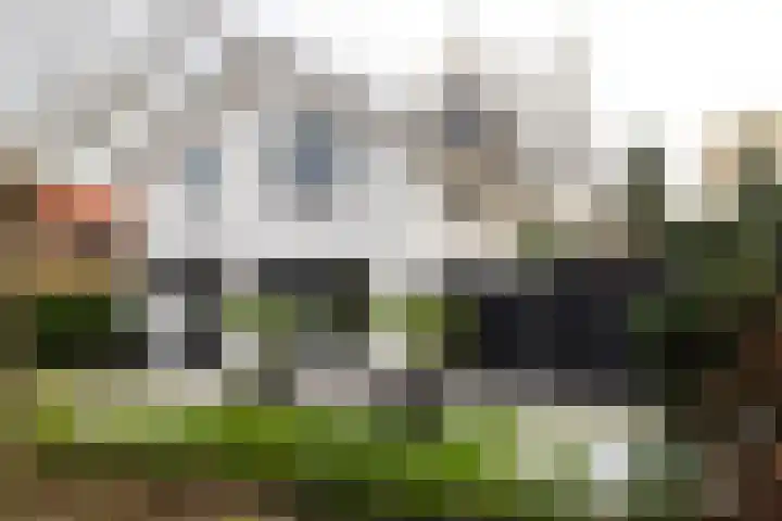 Rode-Kruislaan 11 Nunspeet thumbnail 4