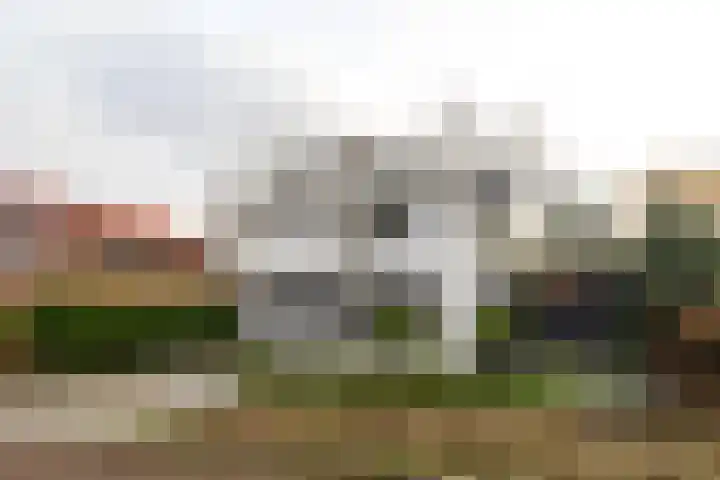 Rode-Kruislaan 11 Nunspeet thumbnail 44