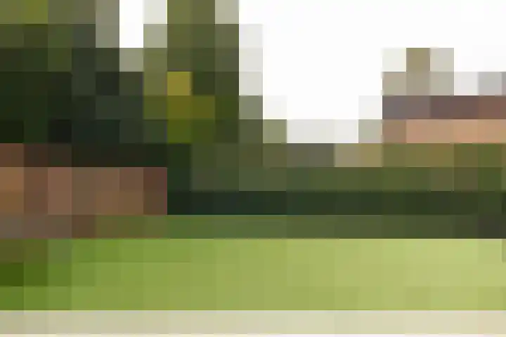 Rode-Kruislaan 11 Nunspeet thumbnail 8