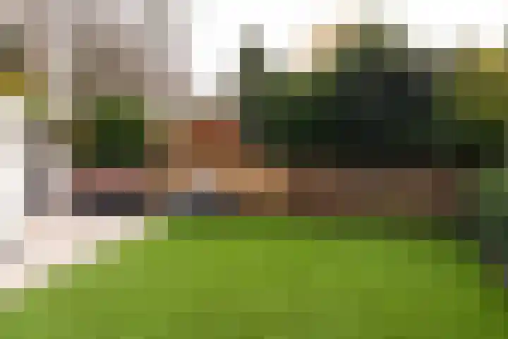 Rode-Kruislaan 11 Nunspeet thumbnail 9