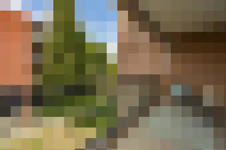 Rode Kruislaan 114 Nijmegen thumbnail 18
