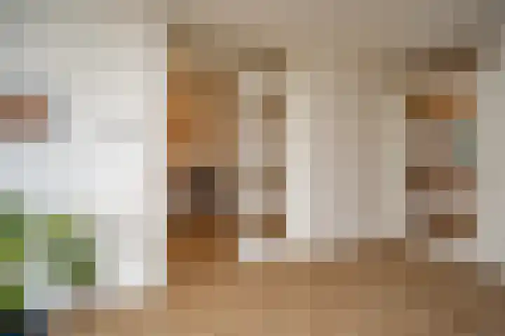 Rode Kruislaan 114 Nijmegen thumbnail 24