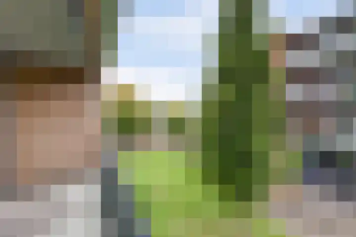 Rode Kruislaan 116 Nijmegen thumbnail 32