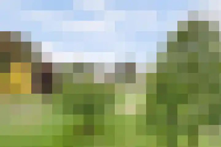 Rode Kruislaan 116 Nijmegen thumbnail 33