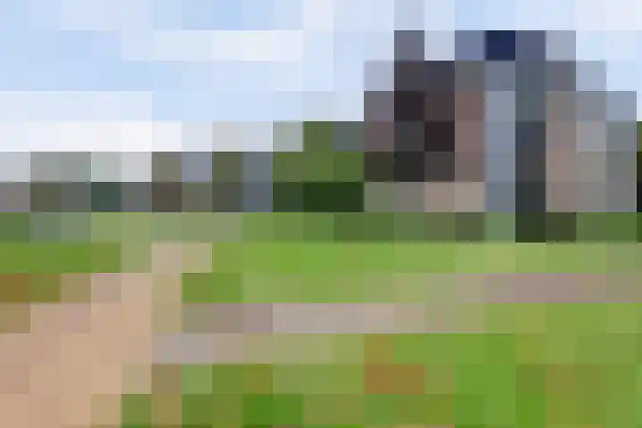 Rode Kruislaan 116 Nijmegen thumbnail 36