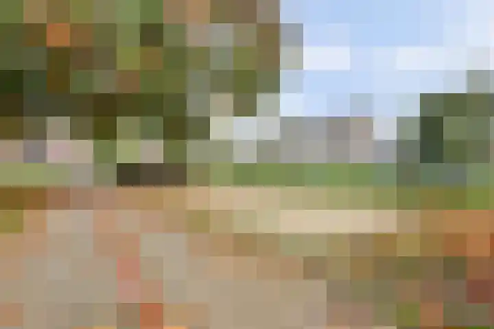Rode Kruislaan 116 Nijmegen thumbnail 37