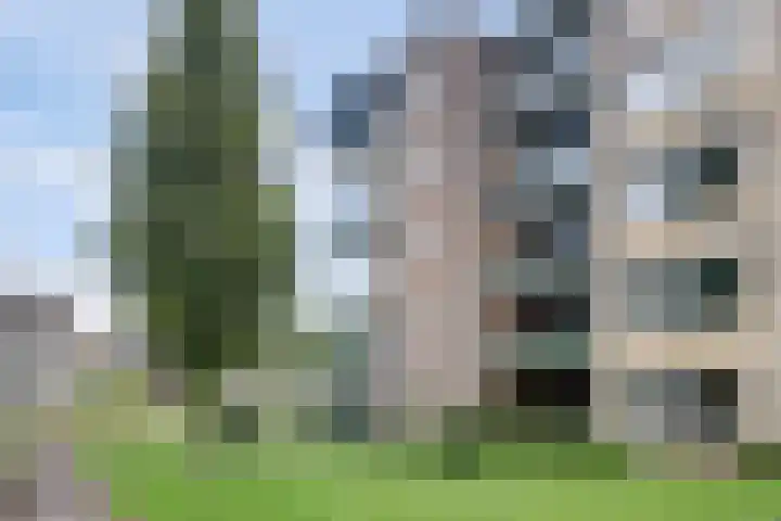 Rode Kruislaan 116 Nijmegen thumbnail 39