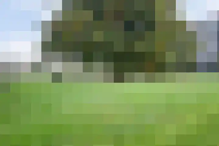 Rode Kruislaan 116 Nijmegen thumbnail 42