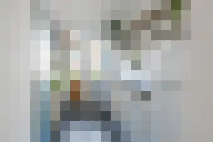 Rode Kruislaan 12 Groningen thumbnail 21