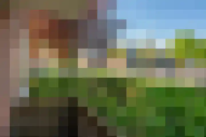 Rode Kruislaan 12 Groningen thumbnail 22