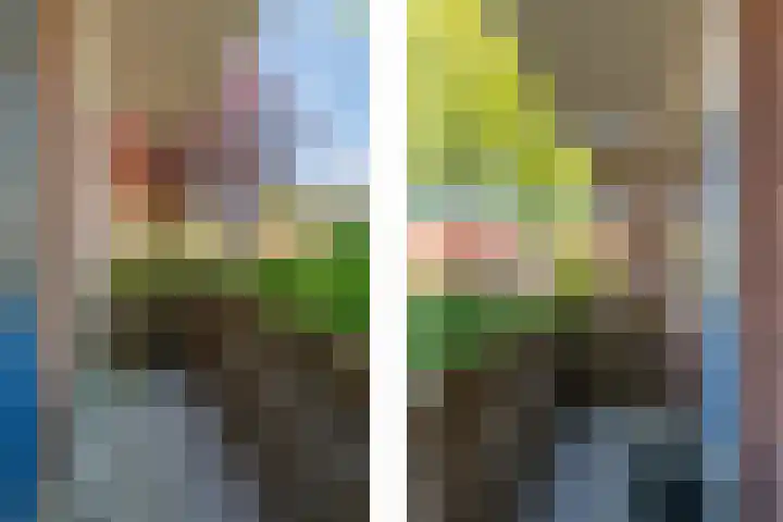 Rode Kruislaan 12 Groningen thumbnail 23