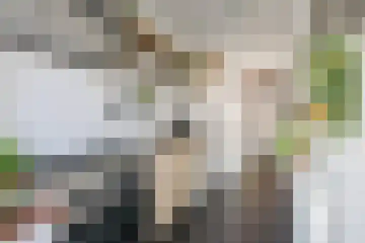 Rode Kruislaan 12 Groningen thumbnail 24