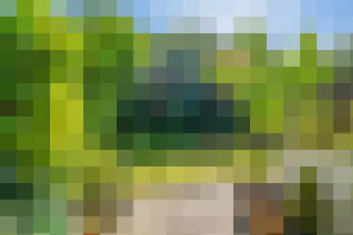 Rode Kruislaan 12 Groningen thumbnail 25