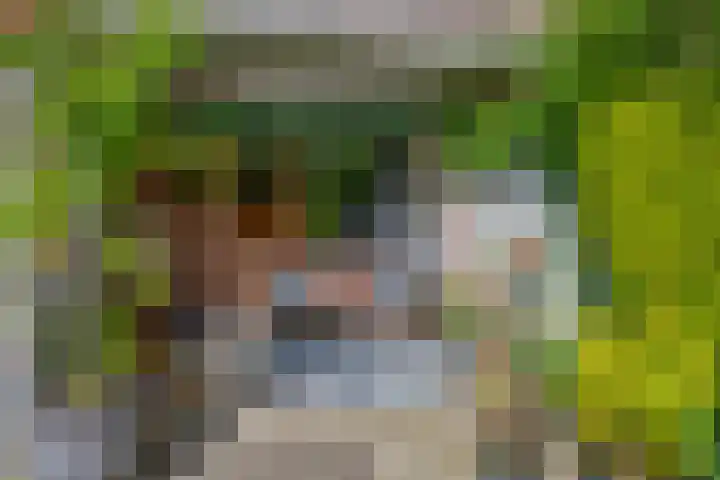 Rode Kruislaan 12 Groningen thumbnail 26
