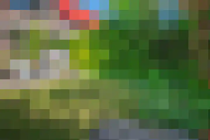 Rode Kruislaan 12 Groningen thumbnail 28