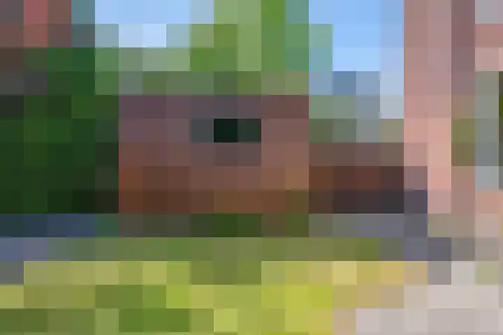 Rode Kruislaan 12 Groningen thumbnail 29