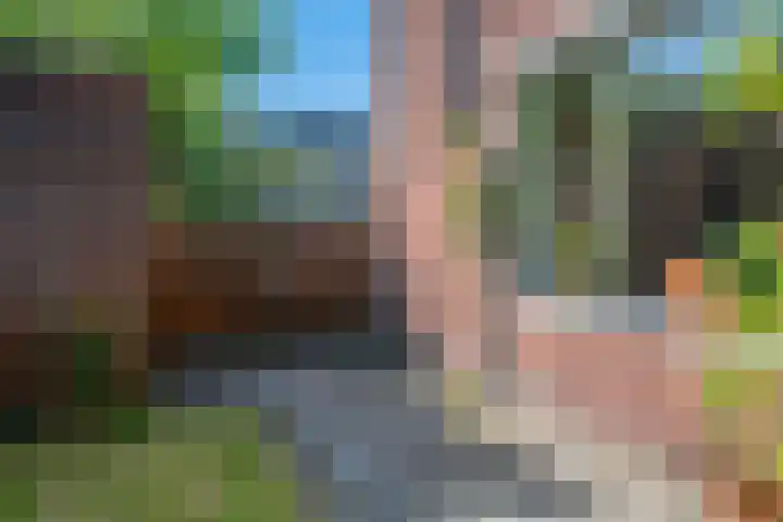 Rode Kruislaan 12 Groningen thumbnail 30